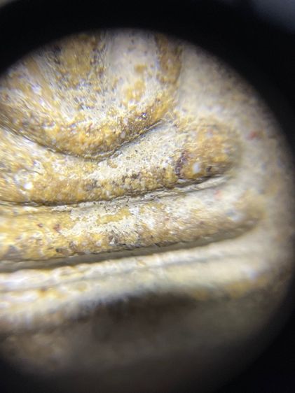 สมเด็จไม่ทราบที่ รูปที่ 10