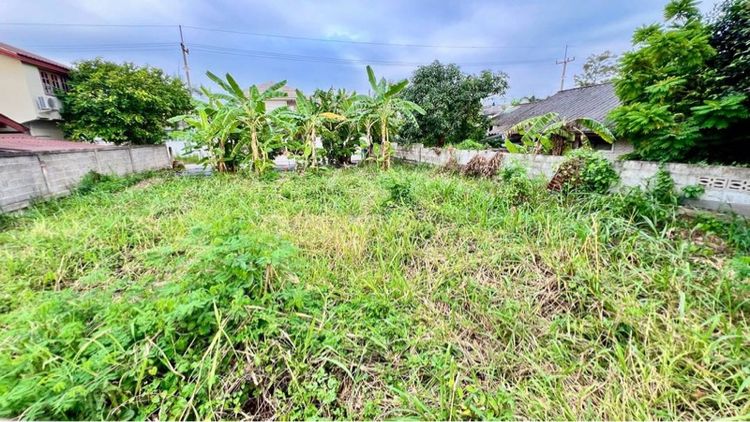 ที่ดินเปล่า มีโฉนดพร้อมโอน รูปที่ 3