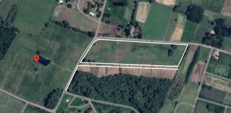 ✨ ที่ดินสวย ทำเลดี ตำบลวังชมภู อำเภอเมือง จังหวัดเพชรบูรณ์ รูปที่ 3