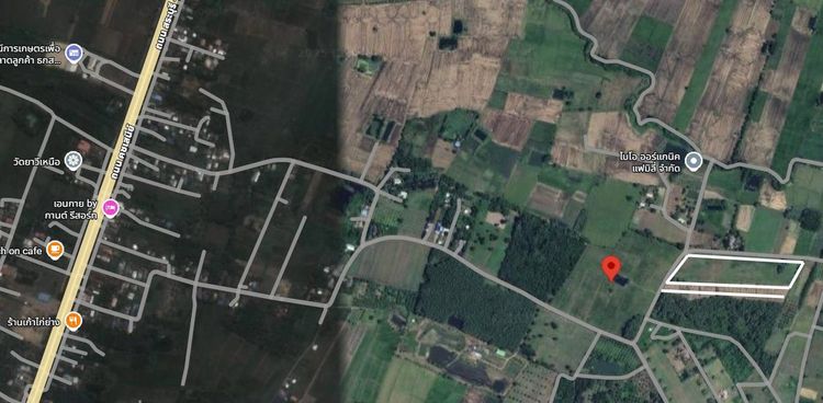 ✨ ที่ดินสวย ทำเลดี ตำบลวังชมภู อำเภอเมือง จังหวัดเพชรบูรณ์ รูปที่ 2