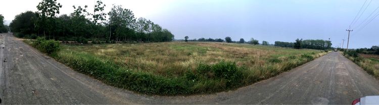 ขายที่ดินสวย แปลงใหญ่ ทำเลดี ตำบลวังชมภู อำเภอเมืองเพชรบูรณ์ จังหวัดเพชรบูรณ์