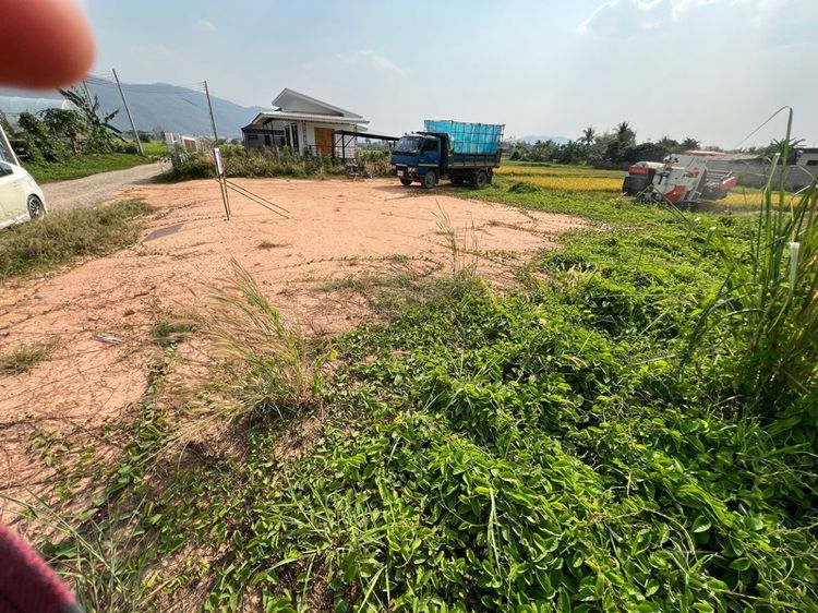 ใช่ ขายที่ดิน 80 ตารางวา รูปที่ 3