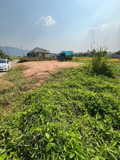 ใช่ ขายที่ดิน 80 ตารางวา รูปที่ 4