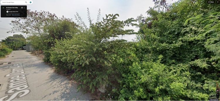 แจกฟรี หญ้าสดกระถินออแกนิค พิกัดพระราม 2 รูปที่ 2