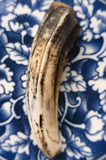 พระเกจิเนื้อเก่าค่ะ(23) รูปที่ 9