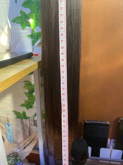 ผมแท้ รูปที่ 6