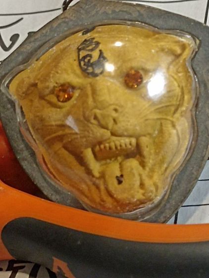 หัวเสือพ่อเปิ่นวัดบางพระ รูปที่ 14