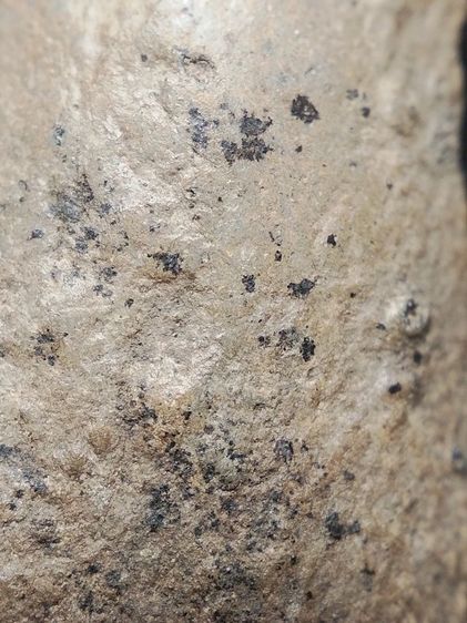 พระรอดลำพูนเนื้อดินพิมพ์ใหญ่ครับ รูปที่ 13