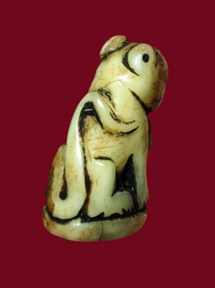 เสือหลวงพ่อปาน รูปที่ 5