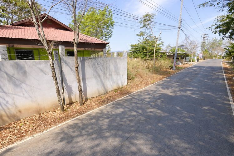 ขายที่ดินทำเลทอง ติดถนนดำ วังชมภู เพชรบูรณ์ 125 ตารางวา  รูปที่ 4