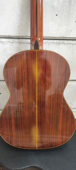 ขายกีต้าร์ คอนเสิร์ต shinano sc20 รูปที่ 16