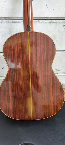 ขายกีต้าร์ คอนเสิร์ต shinano sc20 รูปที่ 5