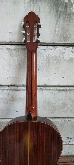 ขายกีต้าร์ คอนเสิร์ต shinano sc20 รูปที่ 4