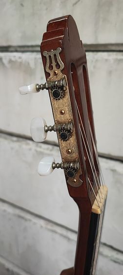 ขายกีต้าร์ คอนเสิร์ต shinano sc20 รูปที่ 14