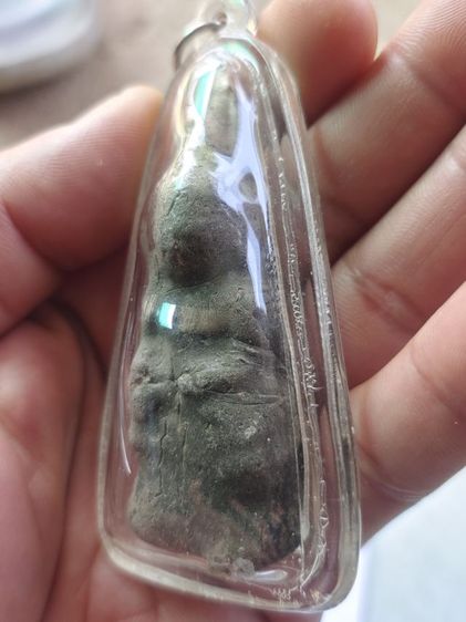 พระว่านจำปาศักดิ์ แก่ครั่ง รูปที่ 3