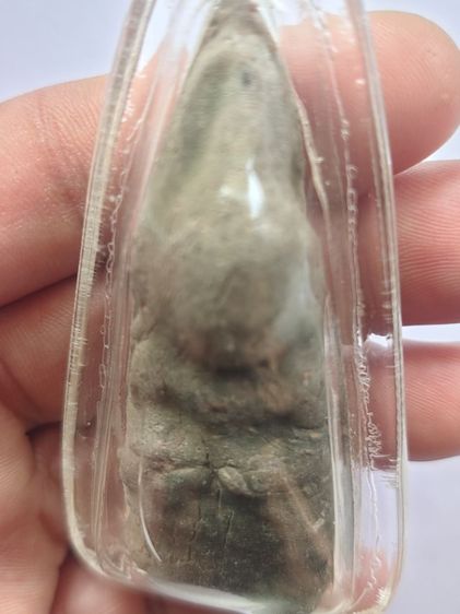 พระว่านจำปาศักดิ์ แก่ครั่ง