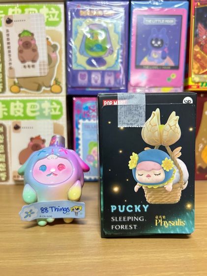 โมเดล PUCKY SLEEPING FOREST PHYSALIS น้องกระเช้า