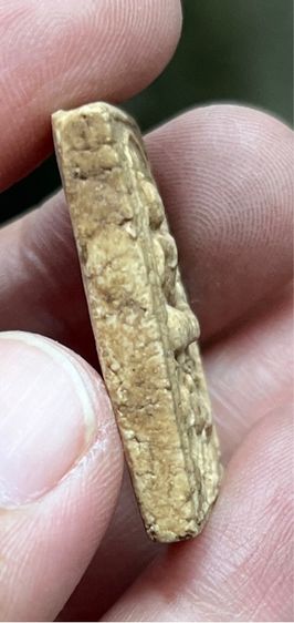 หลวงพ่อแฉ่ง วัดบางพัง รูปที่ 5