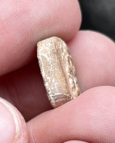 หลวงพ่อปานจิ๋ว รูปที่ 5