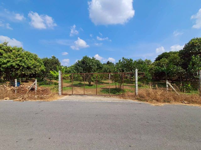 ไม่ใช่ ขายที่สวนขนุน แบ่งขาย1ไร่ๆ ละ 1.8 ลบ. อำเภอเมืองนครนายก