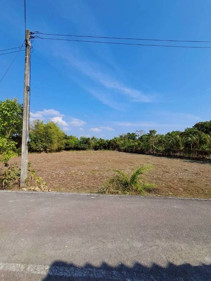 ใช่ ขายที่ดิน  อ.เมืองนครนายก ใกล้ รร.นายน่อย จปร. และรร.เตรียมทหาร รูปที่ 4