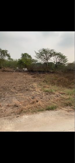 ที่ดินเปล่าให้เช่า