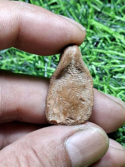 นางเนื้อดินแห้งเก่าเนื้อจัดสวย ไม่ทราบกรุ รูปที่ 2