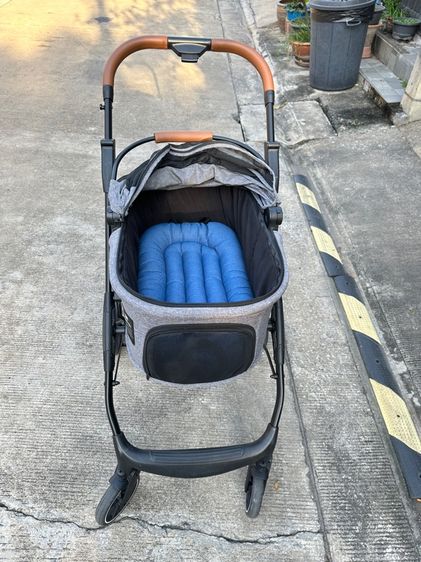 รถเข็นสุนัข รูปที่ 7