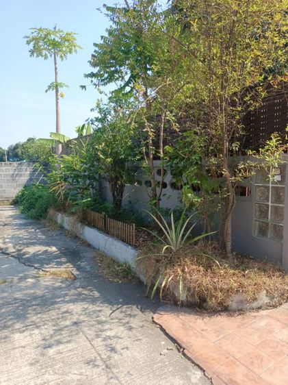 อื่นๆ มีบางส่วน สร้างเสร็จก่อน 2010 ไม่ใช่ ขายบ้านเดี่ยวตกแต่งพร้อมอยู่ทำเลดีหลังมุม เงียบน่าอยู่  รูปที่ 4