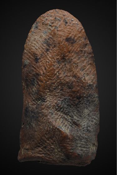 พระรอด มหาวัน รูปที่ 2