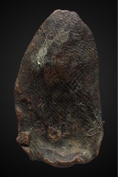 พระรอด รูปที่ 2