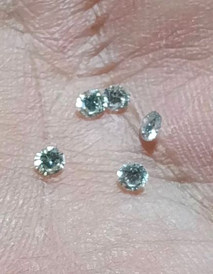 เพชรแท้เหลี่ยมเกสร รูปที่ 2