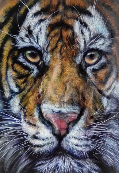 ภาพวาดรูปเสือสีน้ำมันบนผ้าใบ ขนาด 60.5cmx80.5cm. รูปที่ 3