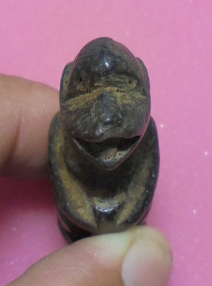 ลิงไม้เเกะ ไม่ทราบที่ รูปที่ 6