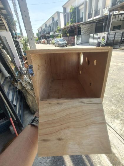 รังเพาะ รูปที่ 5