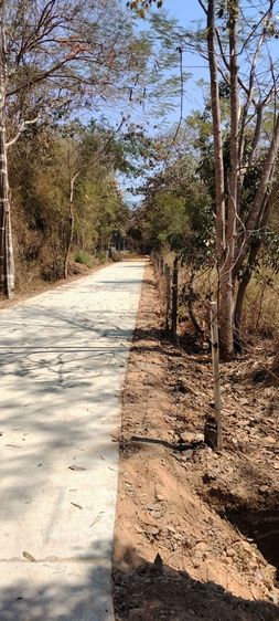 ใช่ ขายที่ดินไทรโยค