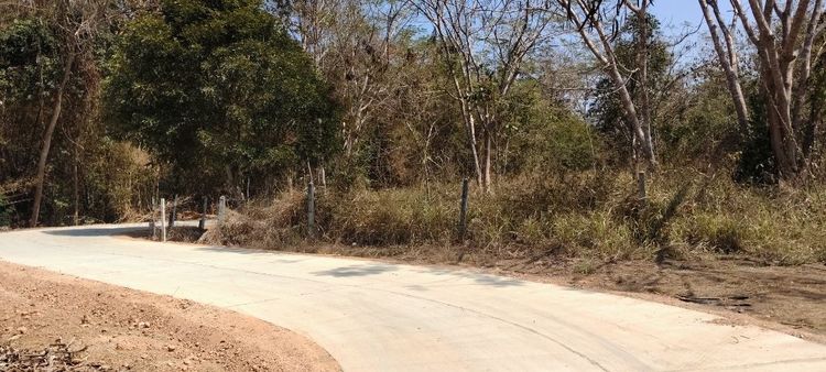 ใช่ ขายที่ดินไทรโยค รูปที่ 3