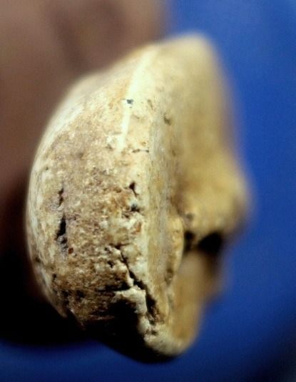 พระวัดพลับพิมพ์วันทาเสมา รูปที่ 9