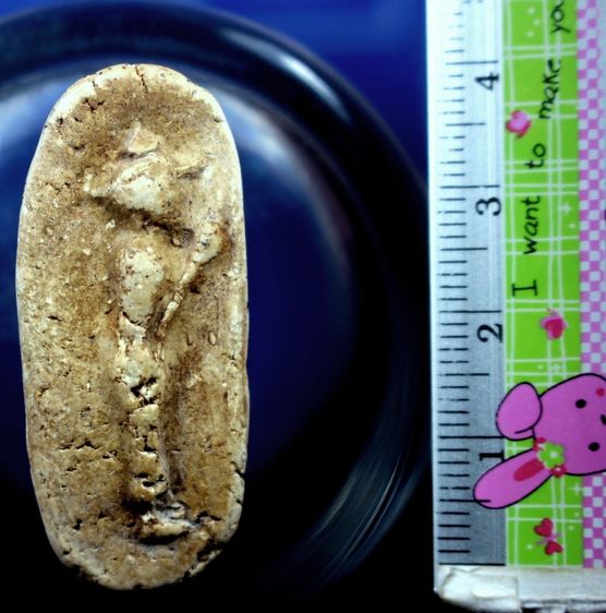 พระวัดพลับพิมพ์วันทาเสมา รูปที่ 2