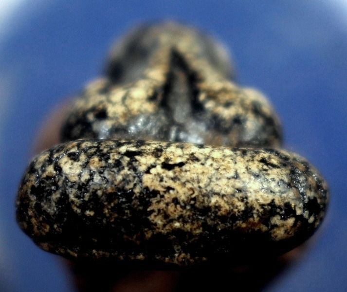 พระปิดตาหลวงปู่ยิ้มวัดหนองบัว รูปที่ 8