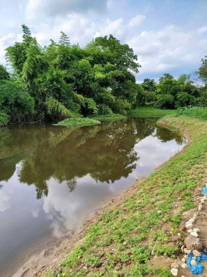 ไม่ใช่ ขายด่วน ที่ดินติดแม่น้ำนครนายก 3 ไร่ รูปที่ 2