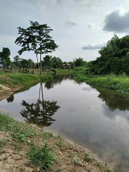 ไม่ใช่ ขายด่วน ที่ดินติดแม่น้ำนครนายก 3 ไร่