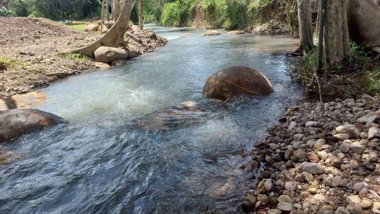 ใช่ แบ่งขายที่ดิน วิวเขาใหญ่-ติดลำธาร ฝั่งนครนายก  รูปที่ 2