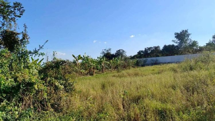 ใช่ ขายที่ดินแปลงเล็ก ต.สาริกา นครนายก รูปที่ 2