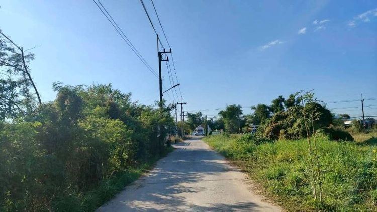 ใช่ ขายที่ดินแปลงเล็ก ต.สาริกา นครนายก