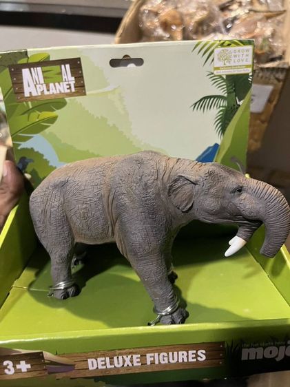 ตุ๊กตา โมเดล เหมือน จริง มีหลายขนาด สอบถามได้ครับ ราคา ตามขนาด แต่ละรุ่น งานดีงาสวยมาก รูปที่ 2