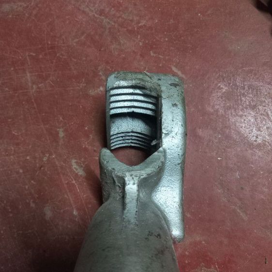 เบนเดอร์ รูปที่ 5