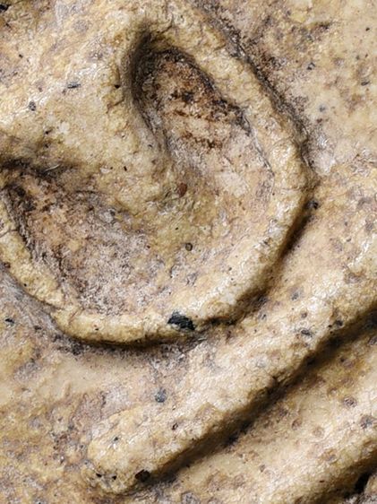 สมบัติบ้าน ให้เช่าบูชา พระสมเด็จวัดระฆัง พิมพ์ใหญ่ มีกรอบกระจก เนื้อผงมวลสาร รูปที่ 3