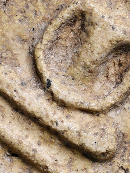 สมบัติบ้าน ให้เช่าบูชา พระสมเด็จวัดระฆัง พิมพ์ใหญ่ มีกรอบกระจก เนื้อผงมวลสาร รูปที่ 16