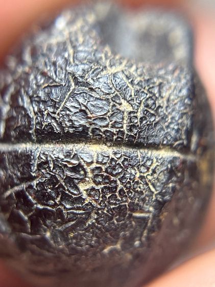 ลูกอมพอดคลั่ง หลวงพ่อทองสุข (มีสินค้าหลายรายการกดเข้ามาดูในโปรไฟล์ได้เลยครับ)